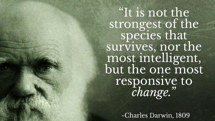 Could things get any more&nbsp;weird?